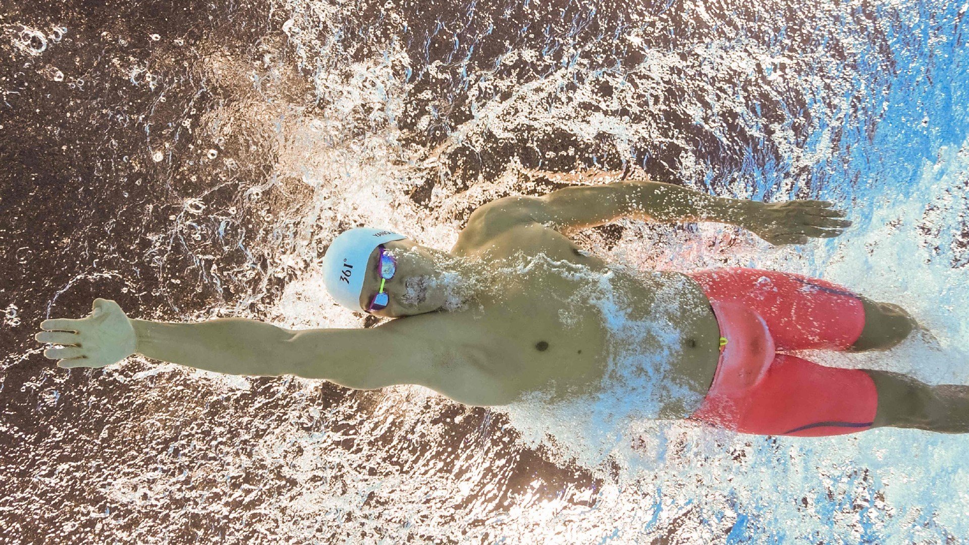 动物与人类体操：动物元素的运动趣味，动物体操儿歌视频大全